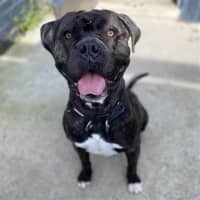 Photo of Duncan