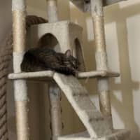 Photo of Aster Uffelman