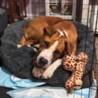 Photo of Boof ** A Divine Boy **