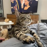 Photo of Little Miss & Yoyo