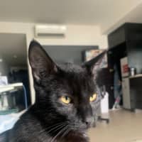 Photo of Jonah