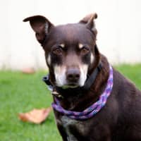 Photo of Monty