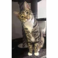 Photo of 9752   Mojo Jojo