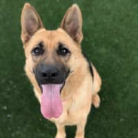 Photo of Gabrielle Imp 2805