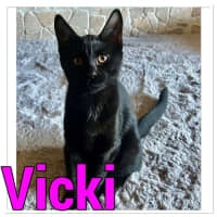 Photo of Vicki