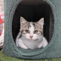 Photo of 🧵 Fyfe 6049 🧵