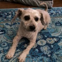 Photo of Angie And Naki Lozano