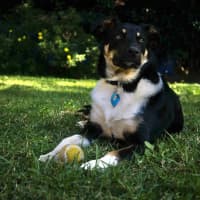 Photo of Steve