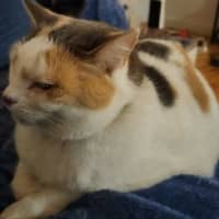 Photo of Millie