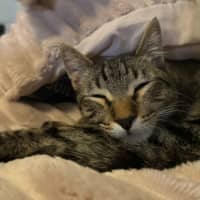Photo of Simon