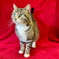 Photo of Winston