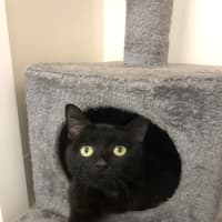 Photo of Savannah