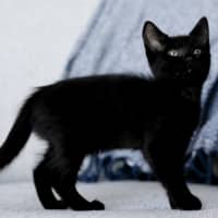 Photo of Wednesday