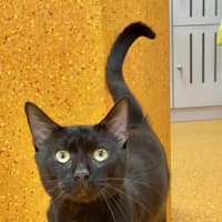 Photo of Petey