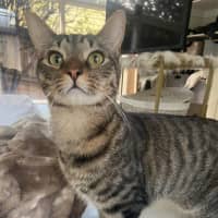 Photo of Mr Maple