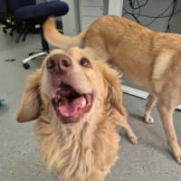 Photo of Fonzie! 💃