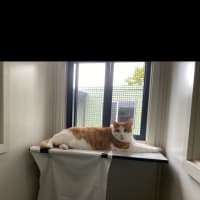 Photo of Sir Ed The Round