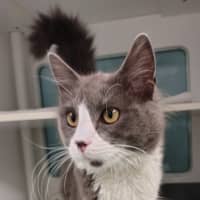 Photo of Minerva