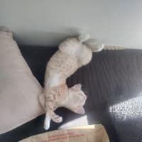Photo of Wanda
