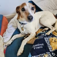 Photo of Abbott & Costello