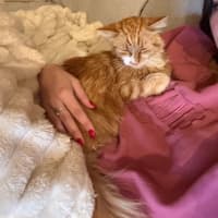 Photo of Sunny   Your Ray Of Sunshine