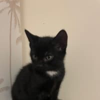 Photo of Johnny Walker