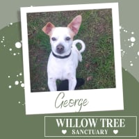 Photo of George