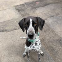 Photo of Lucy