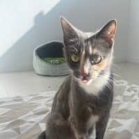 Photo of Macey