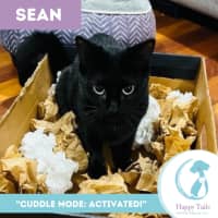Photo of Sean