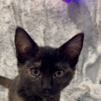 Photo of Wanda