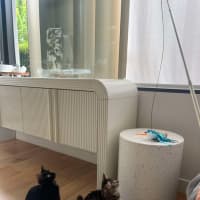 Photo of Snapdragon *Adoption Pending*