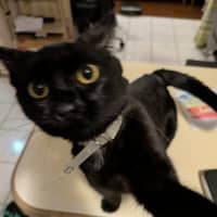Photo of Tammy