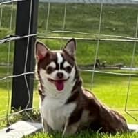 Photo of Ruby & Cinnamon