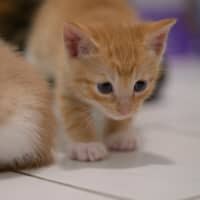 Photo of 🧡 Cinnabon 🤍