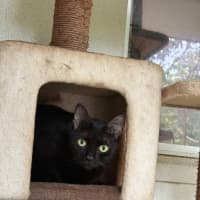Photo of Tabitha