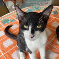 Photo of Betty