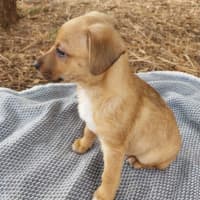 Photo of Elsie