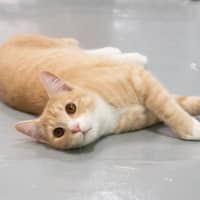 Photo of Luca Quinnell