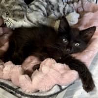 Photo of Sammy