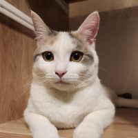 Photo of Bonnie   Located In Avondale Heights