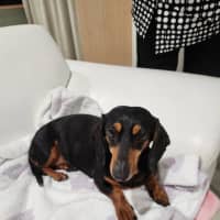 Photo of Tilly