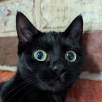 Photo of Gretel
