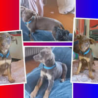 Photo of Humpty Dumpty