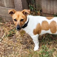 Photo of Ollie Smith