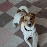 Photo of Chip Douglas