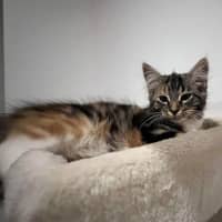 Photo of Buffy