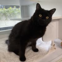 Photo of Sooty