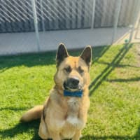 Photo of Theodore