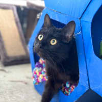 Photo of Molly